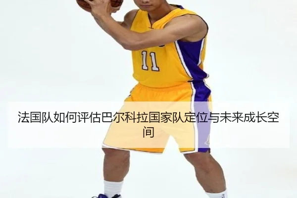 fa-guo-dui-ru-he-ping-gu-ba-er-ke-la-guo-jia-dui-ding-wei-yu-wei-lai-cheng-zhang-kong-jian-3-465.jpg